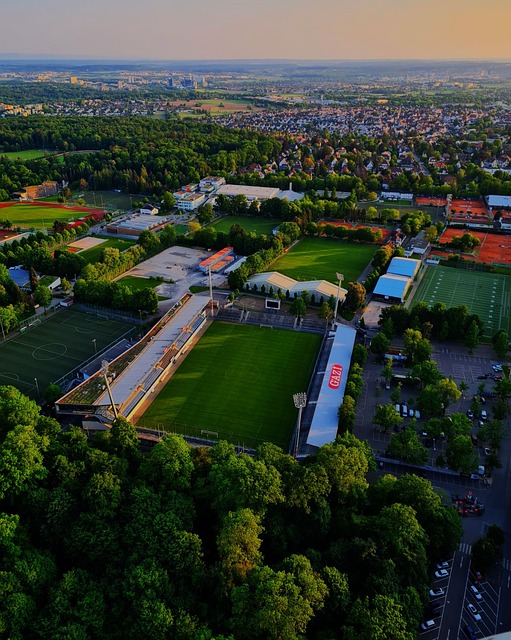 的过程中 的过程中