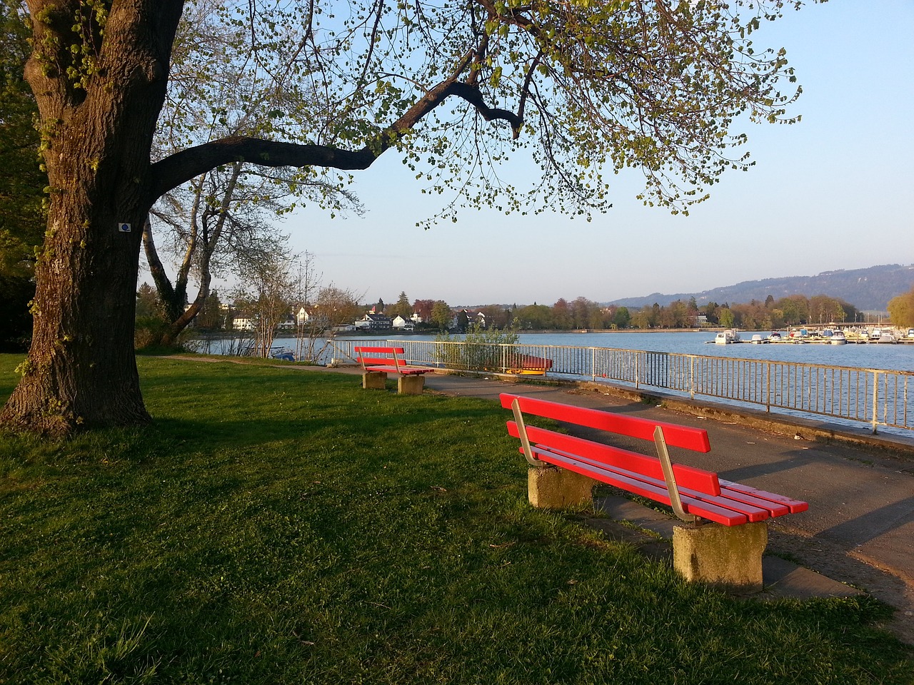 的职业生涯 的职业生涯