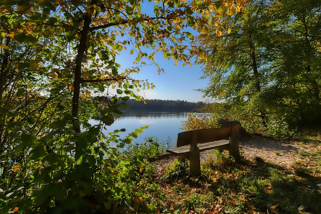 幽默的训练 幽默的训练