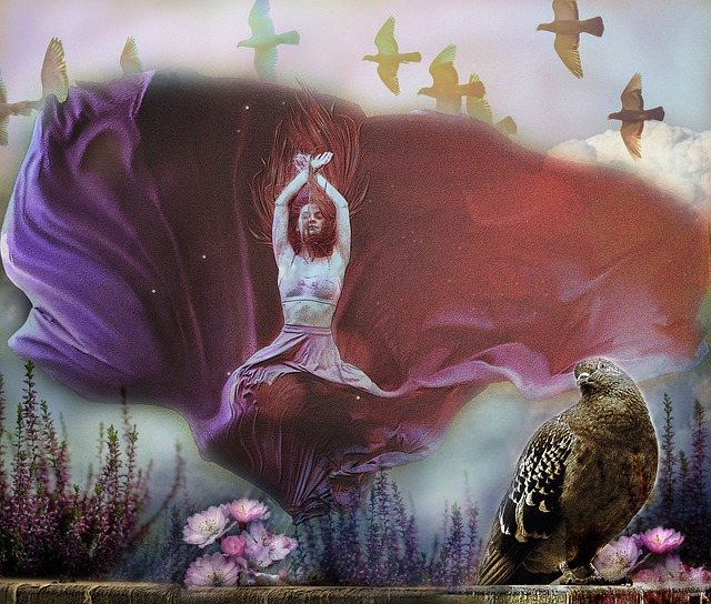 案例分析来 案例分析来